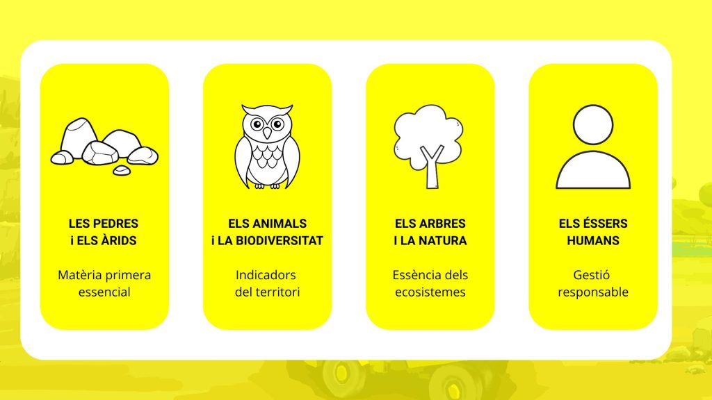 àrids biodiversitat arbres persones territori